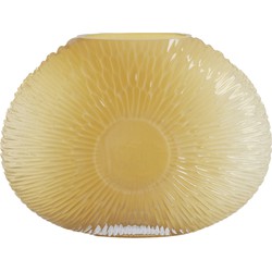 Light&living Vaas 40,5x11x30,5 cm CONCHA licht geel