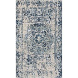 Safavieh Transitional Indoor Woven Area Rug, Evoke Collection, EVK260, in Ivory & Blue, 122 X 183 cm