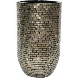 PTMD Adrija Champagne Round Poly Shell Bamboo Pot S