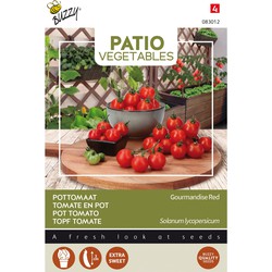 Patio Veggies, Tomaat Gourmandise Red