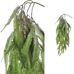 PTMD Leaves Plant Varen Hangende Kunsttak - 66 x 26 x 80 cm - Groen
