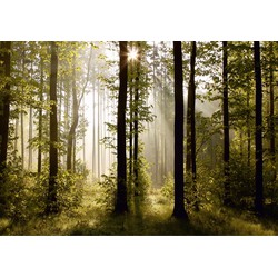 Sanders & Sanders fotobehang bosrijk landschap groen - 360 x 270 cm - 600416