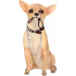 Decoratie beeld - Chihuahua - beige - 18 cm - Polystone - Honden - Beeldjes