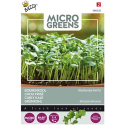 5 stuks - Microgreens Boerenkool