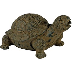 Spuitfiguur Schildpad