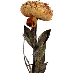 Clayre & Eef Kunstbloem 65 cm Oranje Kunststof