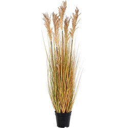 Sorghum Grass - Artificial plant