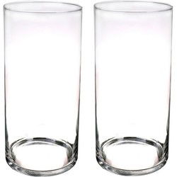 Bellatio Bloemenvaas cilinder - Set van 2x stuks - transparant glas - D19 x H40 cm - Vazen