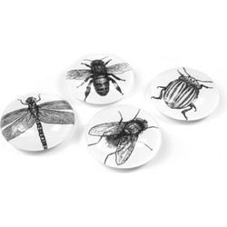 Trendform Magnet Eye - Bug - set van 4 verschillende