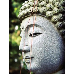Boeddha sliert 50x70cm Tuinschilderij