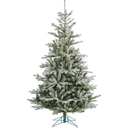 Black Box celtis kerstboom groen frosted tips 2211 maat in cm: 260x145