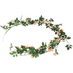 Rosa bonica 10x10x180 cm brn