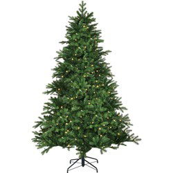 Black Box Kunstkerstboom Brampton - 142x142x215 cm - PVC/Polyethyleen - Groen - 260LED