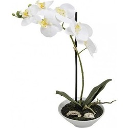 Phalaenopsis kunst plant in pot 38 cm wit - Kunstplanten