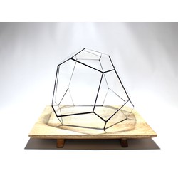 URBANJNGL - Geometrisch Terrarium - Torno - Vivarium - ↑ 28 x 26 x 24 cm (LxBxH) - Glas