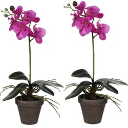 2x stuks phalaenopsis Orchidee kunstplanten paars in grijze pot H48 x D13 cm - Kunstplanten