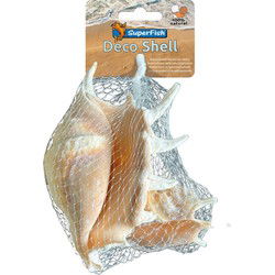 Deco schelp spider 150 gram Superfish