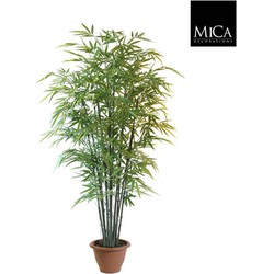 Mica Decorations bamboe h210d90 groen in pot