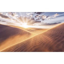 Sanders & Sanders fotobehang woestijn beige - 400 x 250 cm - 612506