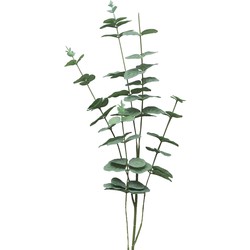 Bellatio Design Kunstbloem/kunsttak Eucalyptus Cinera - 90 cm - Kunstbloemen