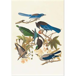 Schilderij op Paneel Vogels