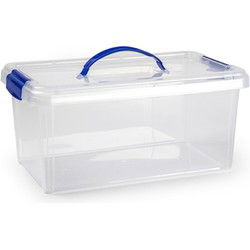 Plastic Forte Opslagbak - met deksel - 10 liter - transparant - Opbergbox