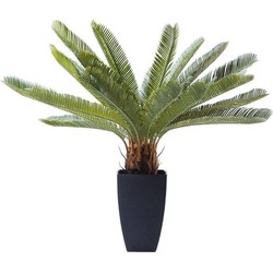 Kare Deco Plant Cycas Tree 78 cm