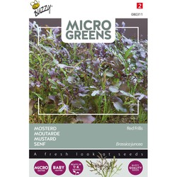 5 stuks - Microgreens Mosterd Red Frills - Buzzy