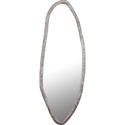 PTMD Spiegel Paislie - 56x3x150 cm - Nikkel - Nikkel
