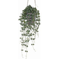 Ceropegia chinees lantaarn plantje 70 cm kunstbloem zijde nepbloem
