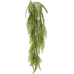 Louis Maes kunstplanten - Varen - groen - hangende takken bos van 70 cm - Kunstplanten