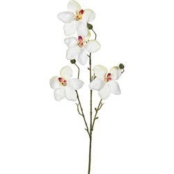 Orchidee l55cm wit kunstbloem Louis Maes