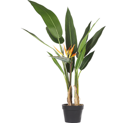 Beliani STRELITZIA TREE - Kunstplant-Groen-Synthetisch materiaal