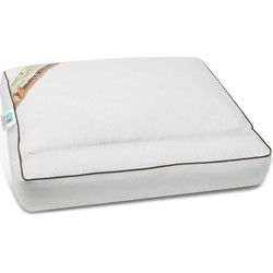 Kapok neksteun hoofdkussen - Verkoelend- Koel kussen - 100% Natuurlijk Kapok Neksteunkussen - oplossing tegen een Warm hoofd - 50x60x10