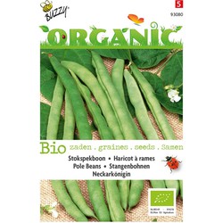 3 stuks - Organic Stokspekboon Neckarkonigin (BIO)