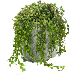 Emerald Kunstplant Senecio/erwtenplant - groen - in pot - 27 cm - hangplant - Kunstplanten