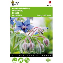 2 stuks - Komkommerkruid Borage