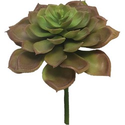 Kunst Echeveria Vetplant 17 cm - Roze - Nova Nature
