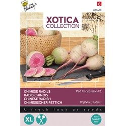 Xotica Japanse Radijs Red Impression F1