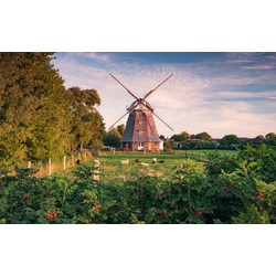 Sanders & Sanders fotobehang landschap groen en blauw - 450 x 280 cm - 612668