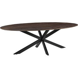 Eettafel James 240x100x76 cm