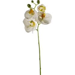 Emerald Kunstbloem Orchidee - 56 cm - wit - losse tak - kunst zijdebloem - Phalaenopsis - Kunstbloemen