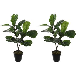 2x stuks groene ficus Lyrata kunstplant 75 cm voor binnen - Kunstplanten