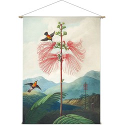 Afbeelding uit Temple of Flora (Robert John Thornton) - 120 x 165 cm