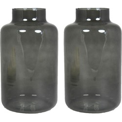 Set van 2x bloemenvazen - smoke grijs/transparant glas - H25 x D15 cm - Vazen