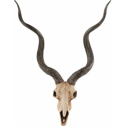 wandornament skull goat bruin 65 x 49 x 15
