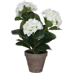 Mica Decorations Hortensia Kunstplant in Bloempot Stan - H40 x Ø35 cm - Wit