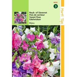 2 stuks - Lathyrus odoratus Bijou gemengd