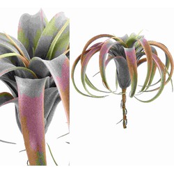 PTMD Succulent Plant Tillandsia Pluk Kunsttak - 14 x 24 x 26 cm - Roze