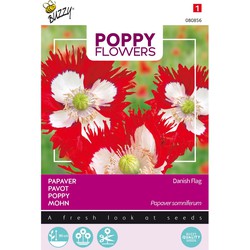 3 stuks - Poppies of the world papaver Deense vlag - Buzzy